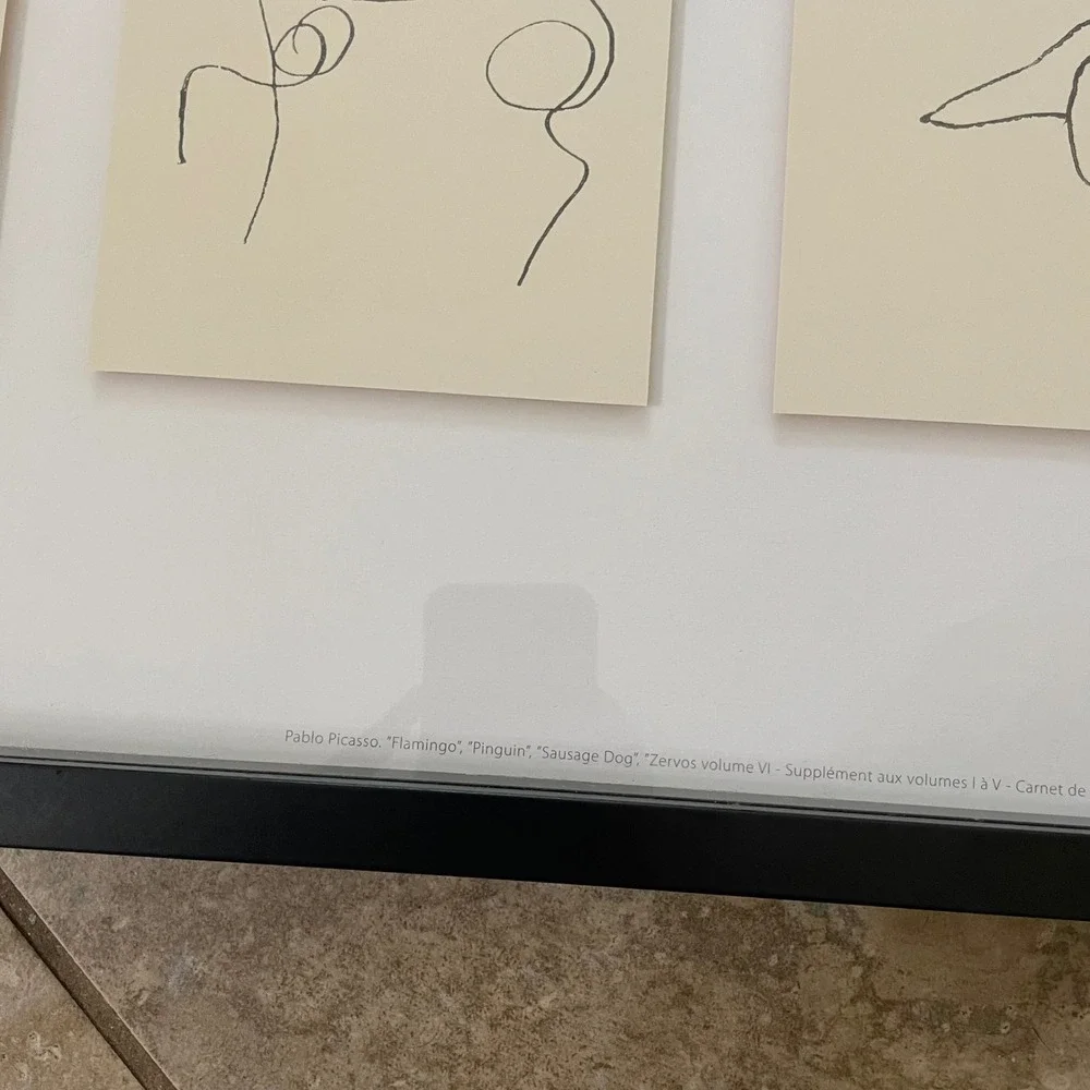 Pablo Picasso Animal Line Drawings Framed Print Set Flamingo Sausage Dog Horse